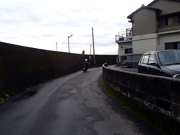 国道３１１号線